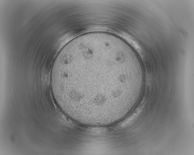 X0000115650953200912081122