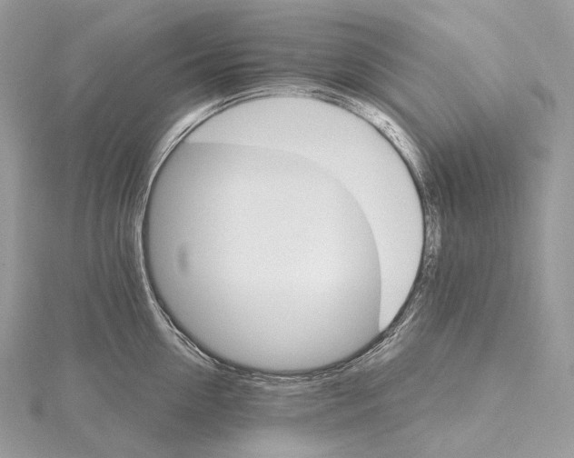 X0000115650954200912081122