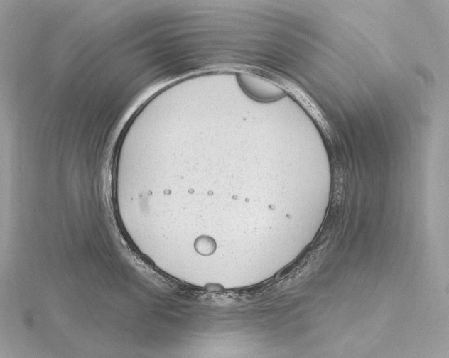 X0000115650955200912081122