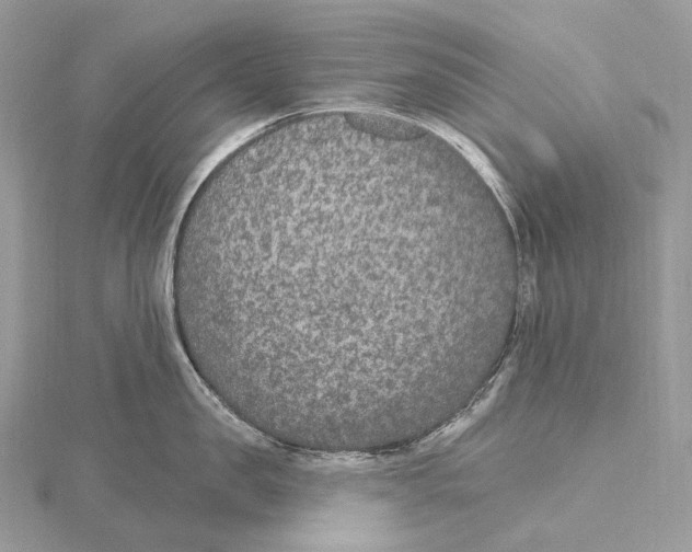 X0000115650957200912081122