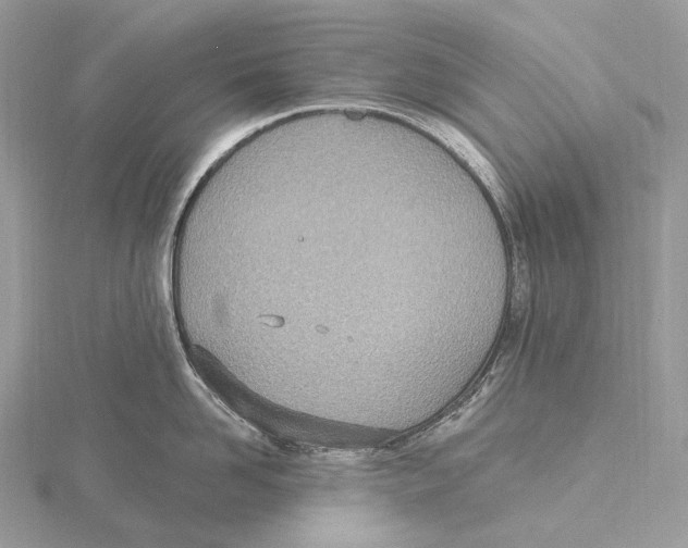 X0000115650958200912081122