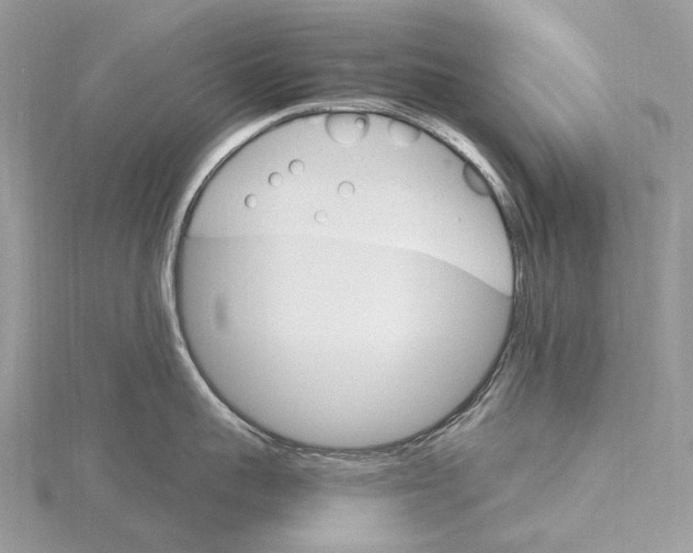 X0000115650959200912081122