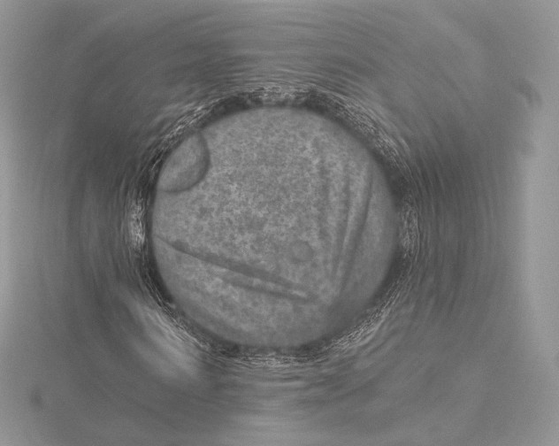 X0000115650962200912081122