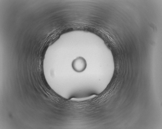 X0000115650964200912081122