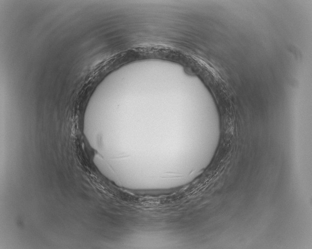 X0000115650965200912081122