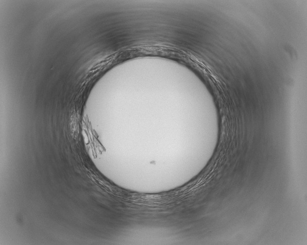 X0000115650966200912081121