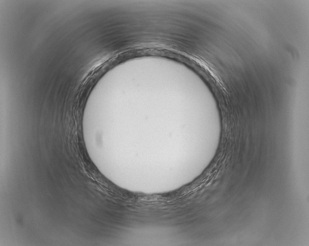 X0000115650967200912081121