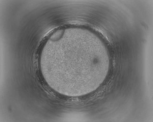 X0000115650968200912081121