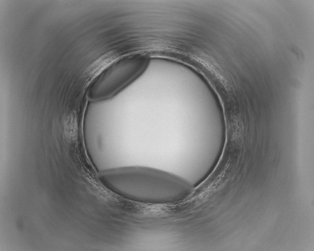 X0000115650969200912081121