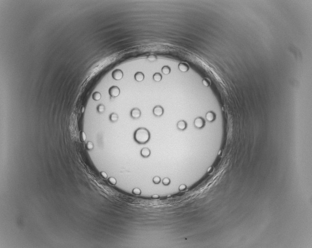 X0000115650970200912081121