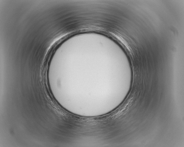 X0000115650971200912081121