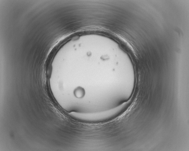 X0000115650973200912081121