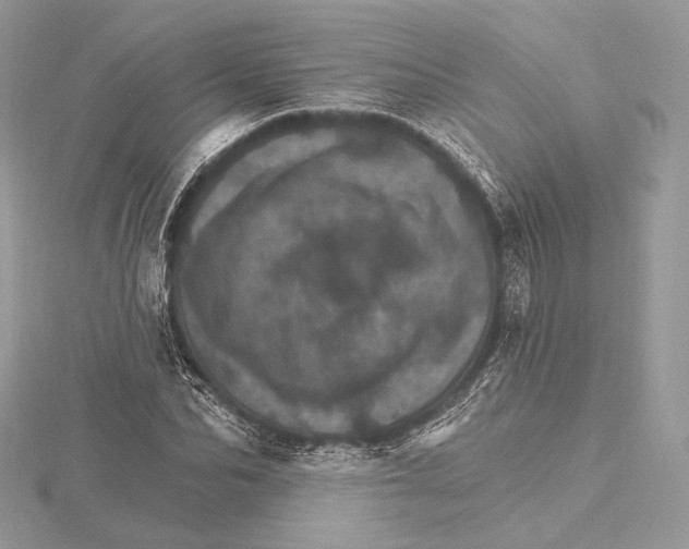 X0000115650974200912081121