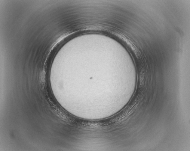 X0000115650975200912081121