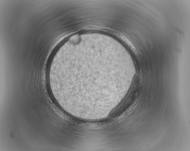 X0000115650976200912081121