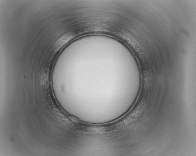 X0000115650977200912081121