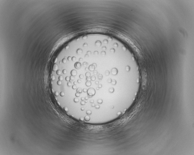 X0000115650978200912081121