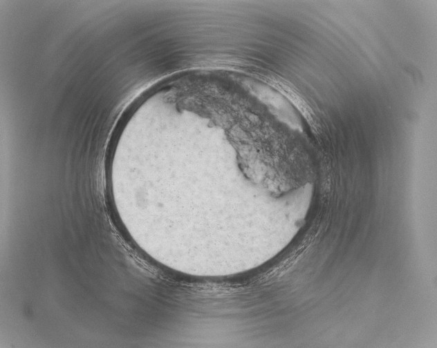 X0000115650980200912081121