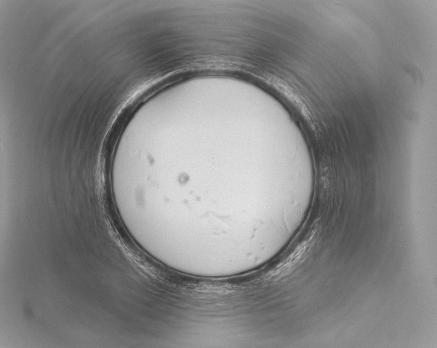 X0000115650981200912081121