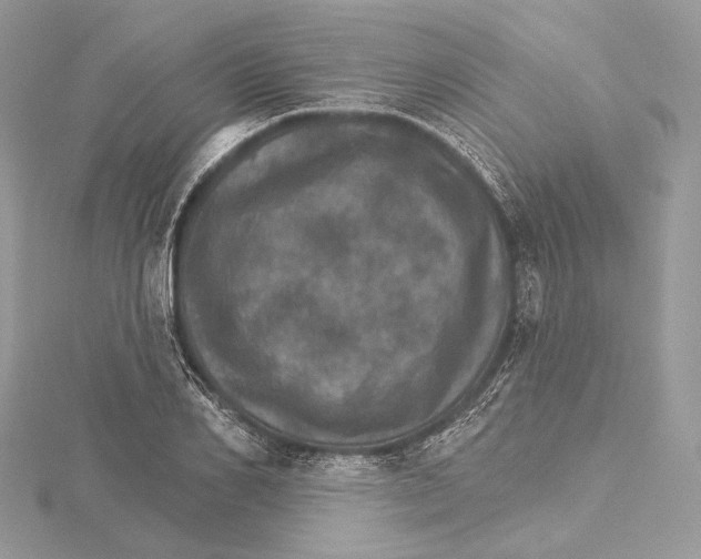 X0000115650982200912081121