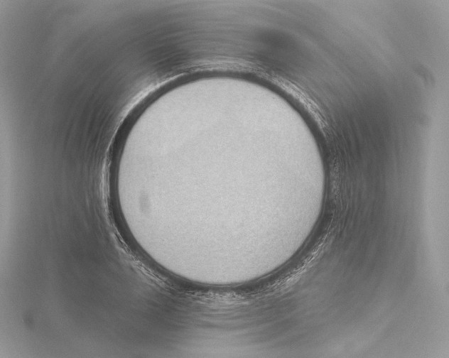 X0000115650983200912081121