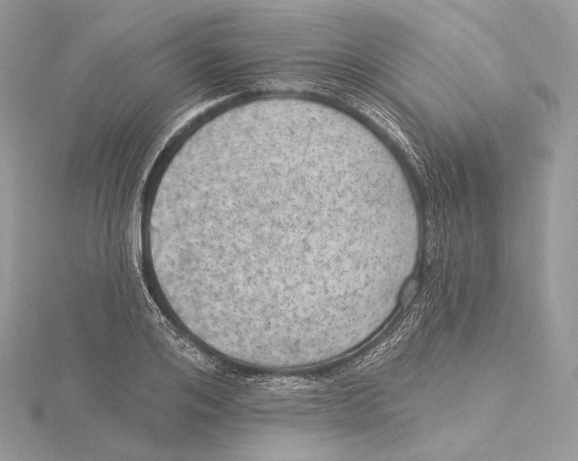 X0000115650984200912081121