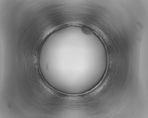 X0000115650985200912081121