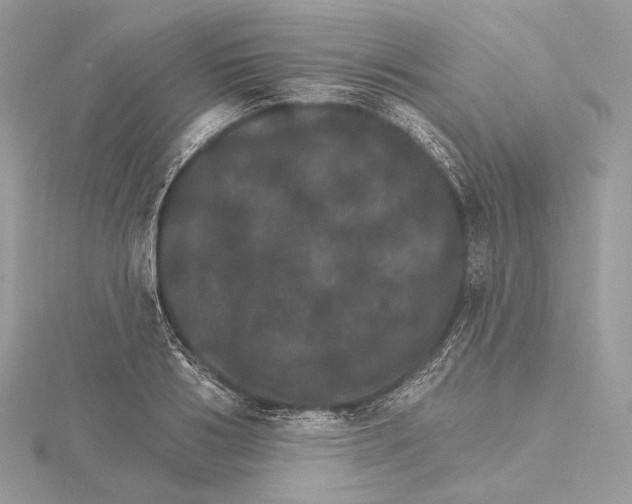 X0000115650986200912081121