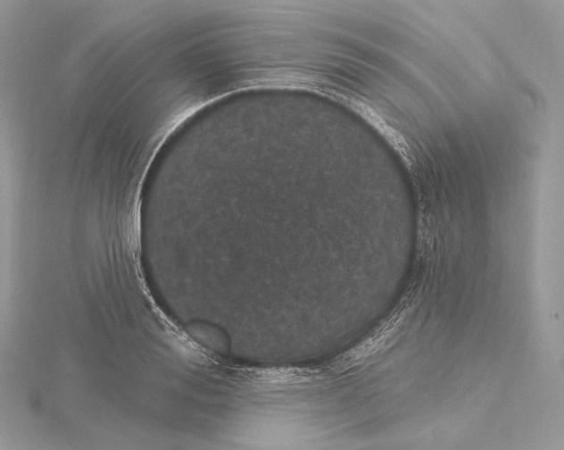 X0000115650988200912081121