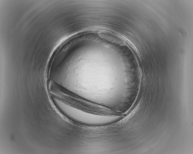 X0000115650989200912081121