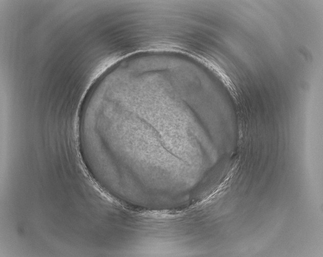 X0000115650990200912081121