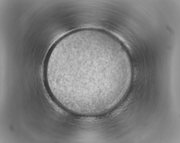 X0000115650991200912081121