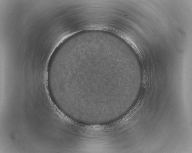 X0000115650992200912081121