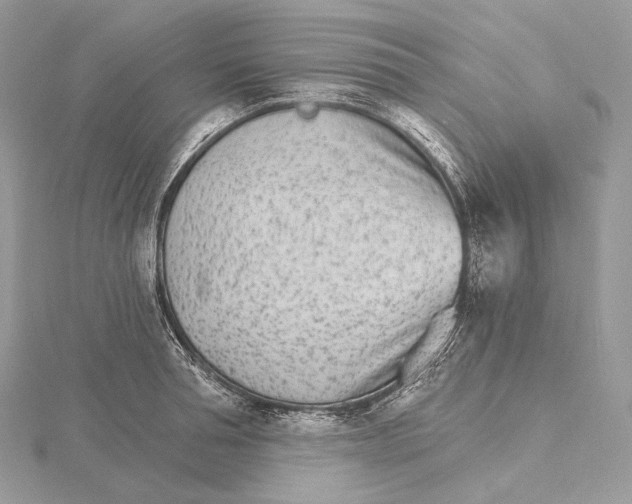 X0000115650994200912081121