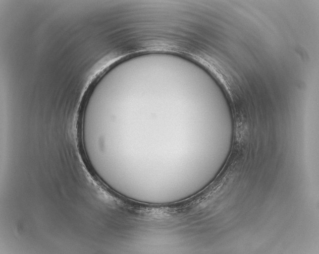 X0000115650995200912081121