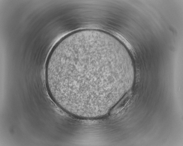 X0000115650996200912081121