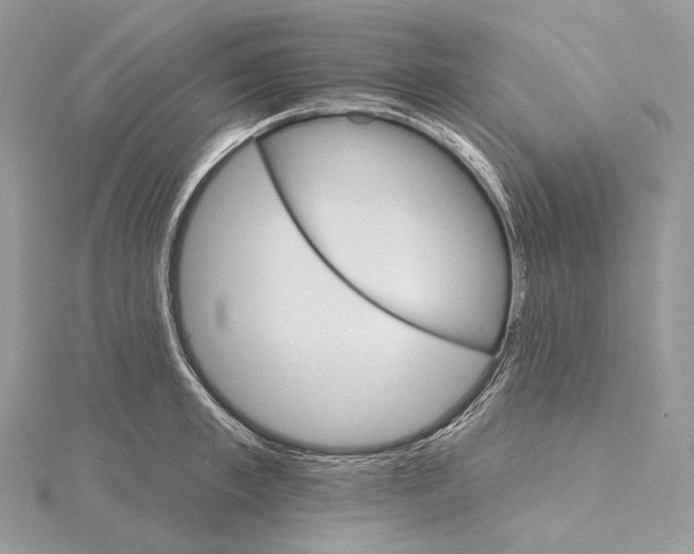 X0000115650997200912081121