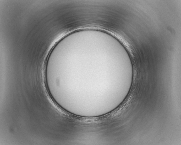 X0000115650998200912081121