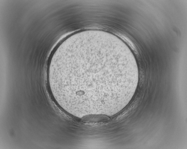 X0000115651000200912081121