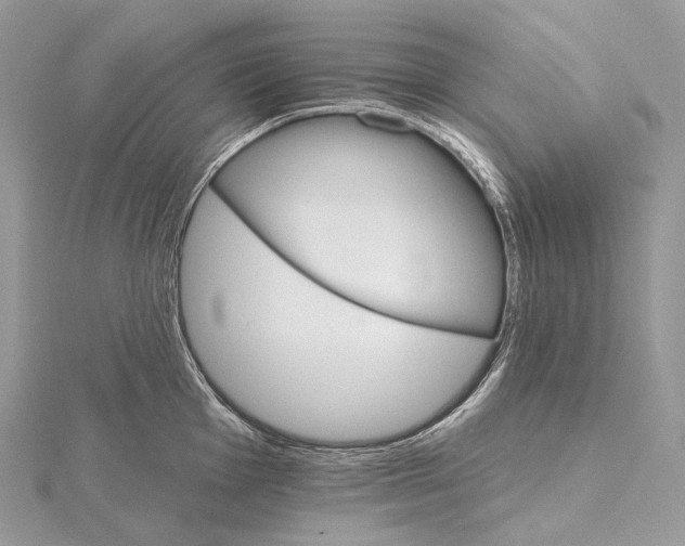 X0000115651001200912081121