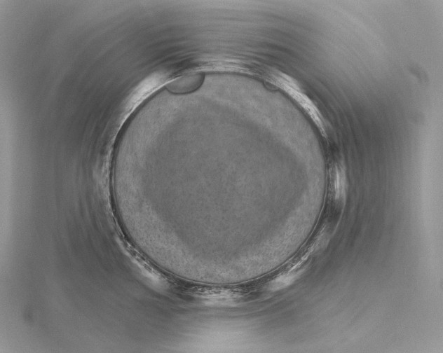 X0000115651002200912081121