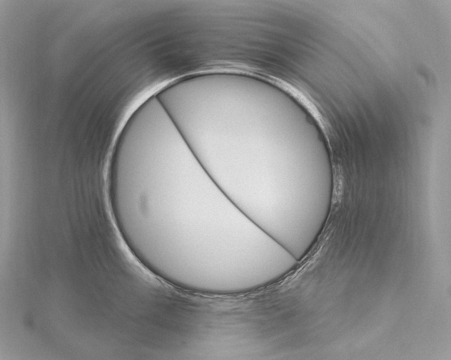 X0000115651003200912081121