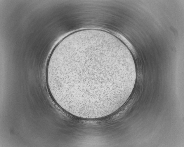 X0000115651004200912081121