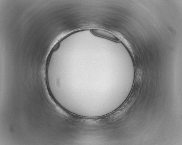 X0000115651005200912081121