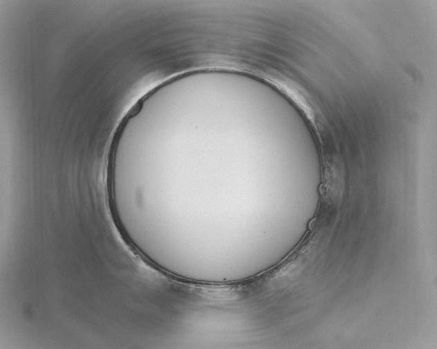 X0000115651007200912081121