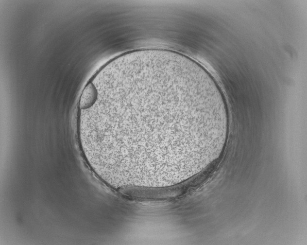 X0000115651008200912081121