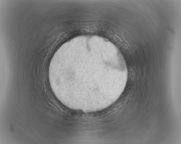 X0000115651009200912081120