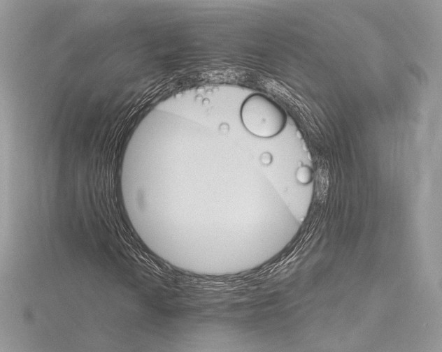 X0000115651010200912081120