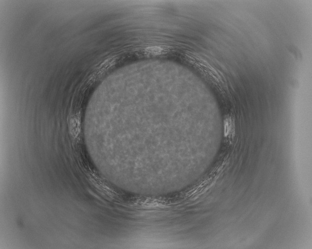 X0000115651011200912081120