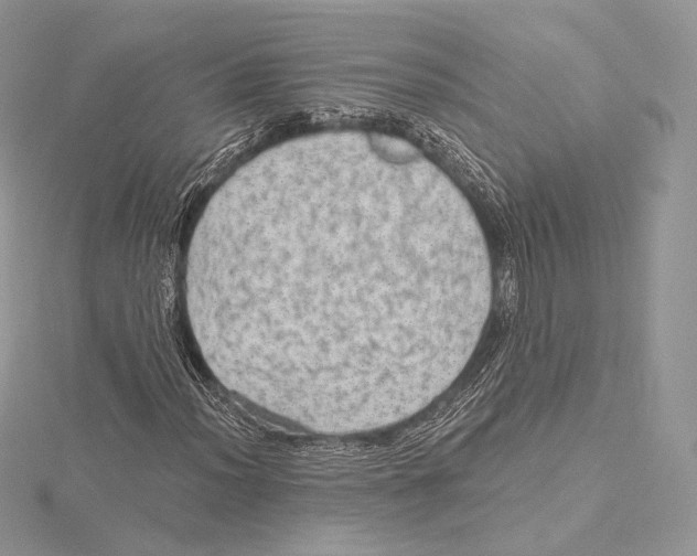 X0000115651012200912081120